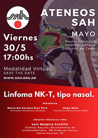 Ateneos SAH