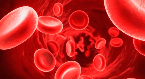 Carrera de Médico Especialista en Hematología - 2024-2027