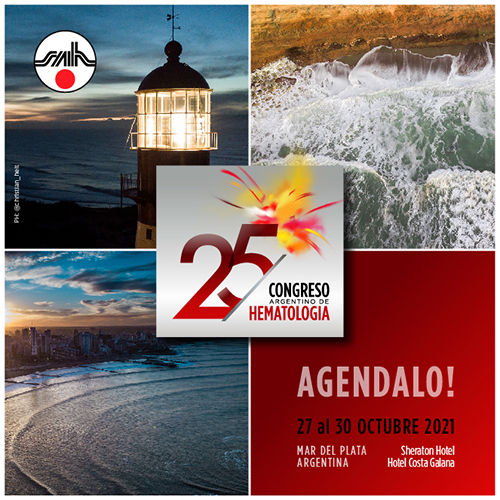 XXV Congreso SAH 2021. Mar del Plata