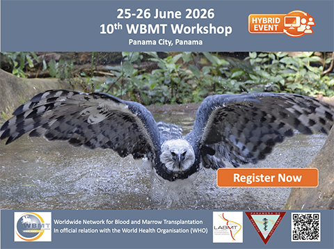 10th WBMT Workshop